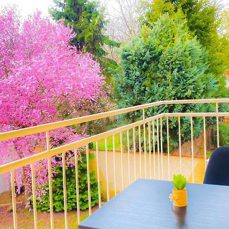 Arboretum - Hotel
